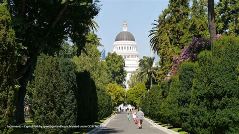 city of sacramento urban forestry.